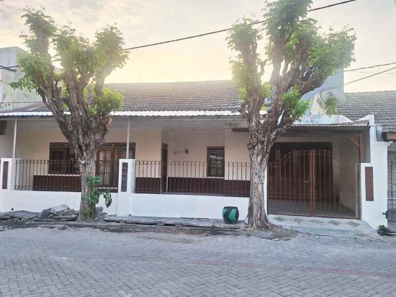 rumah murah di sutorejo