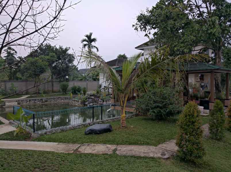 rumah pasir putih sawangan depok