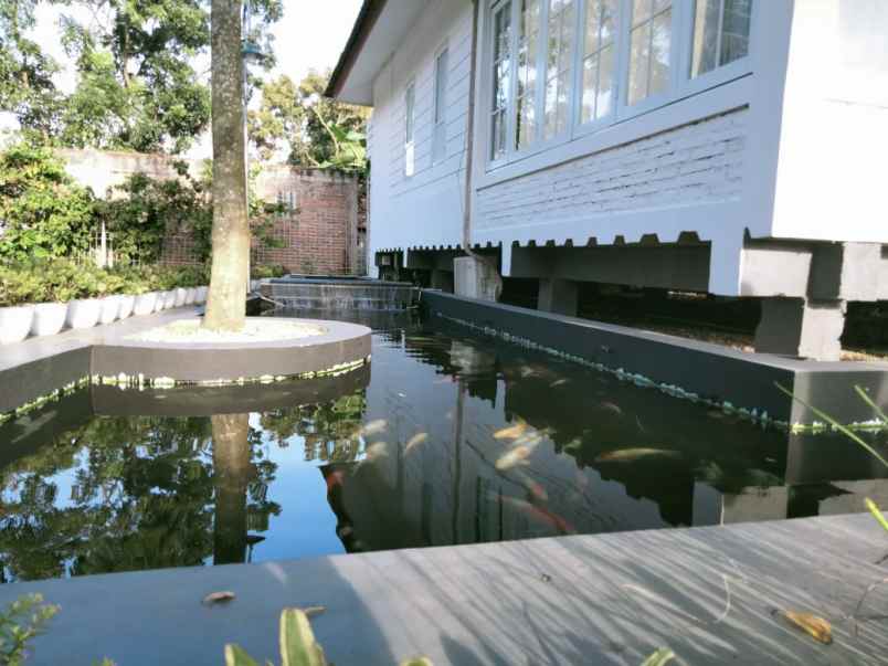 rumah villa mewah kolam ikan