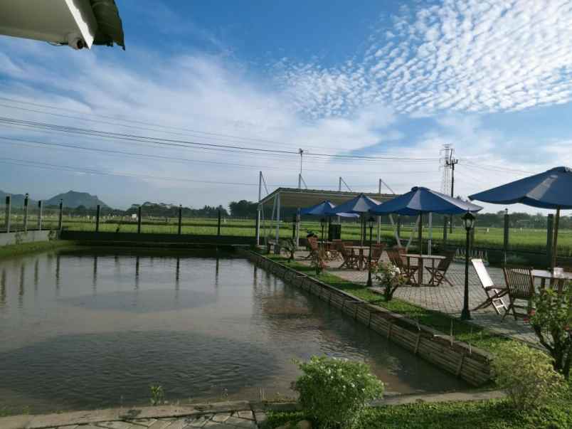 rumah villa mewah kolam ikan