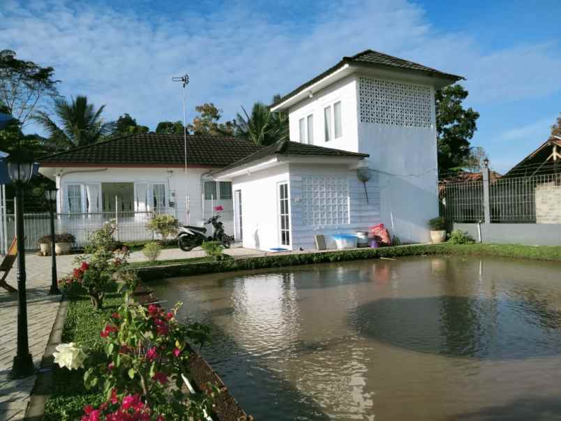 rumah villa mewah kolam ikan