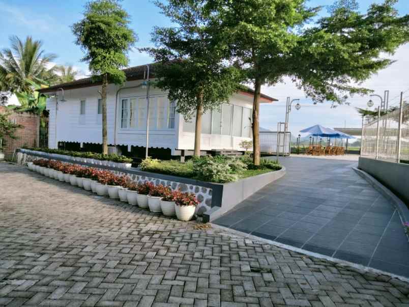 rumah villa mewah kolam ikan