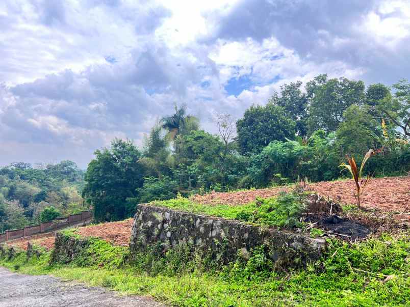 tanah 1 2 hektar strategis dekat pasar karangpandan