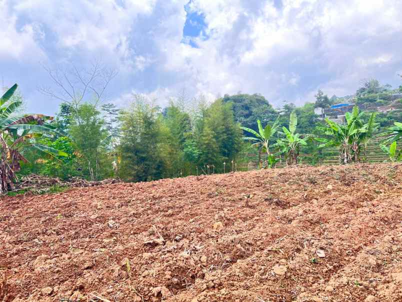 tanah 1 2 hektar strategis dekat pasar karangpandan