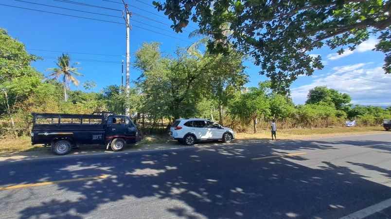 tanah 1 hektar pinggir jalan raya lagam sumbawa ntb