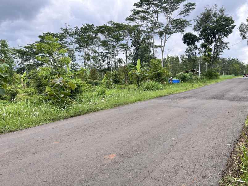 tanah 1 hektar tepi jalan raya kerjo karanganyar