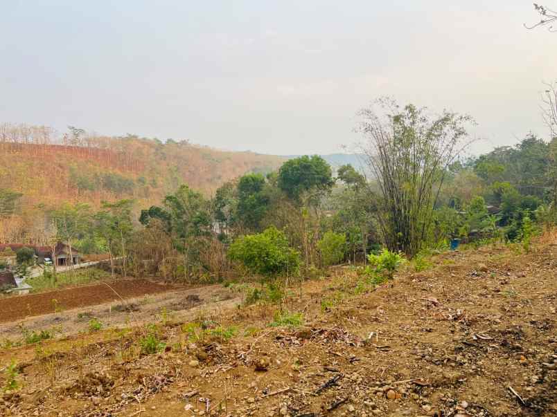 tanah 140 juta sambirejo sragen
