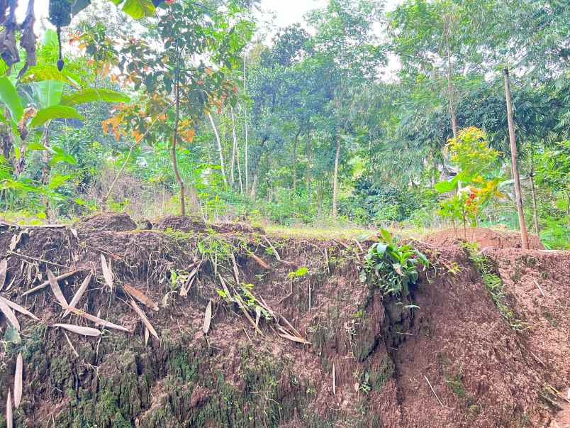tanah 193m2 datar kawasan wisata kemuning karanganyar