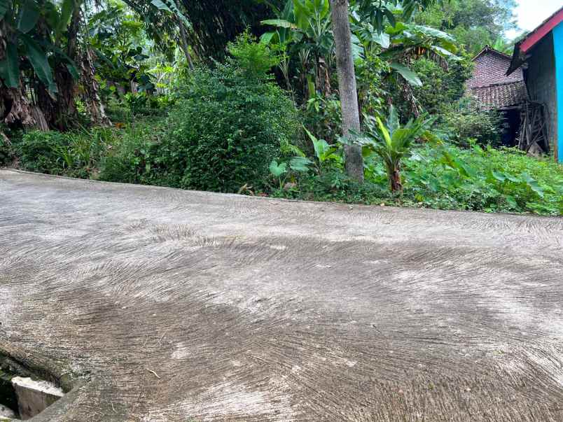 tanah 234m bonus kebun buah kerjo karanganyar