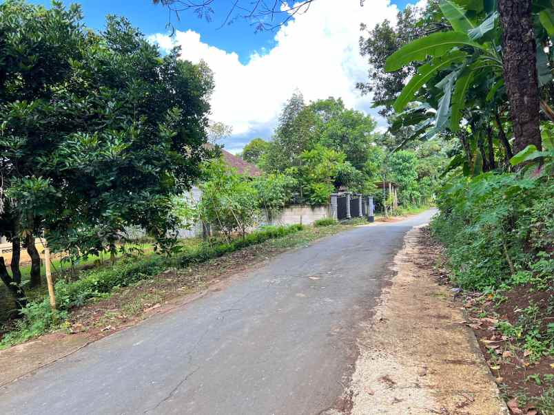 tanah 234m bonus kebun buah kerjo karanganyar