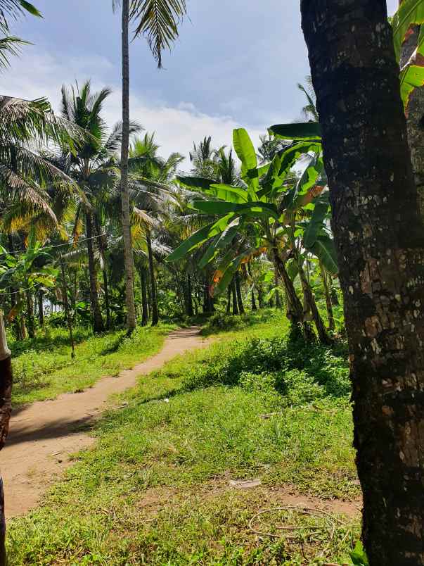 tanah babakan pangandaran