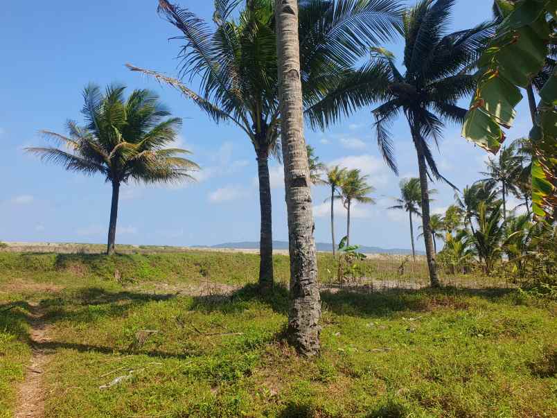 tanah babakan pangandaran