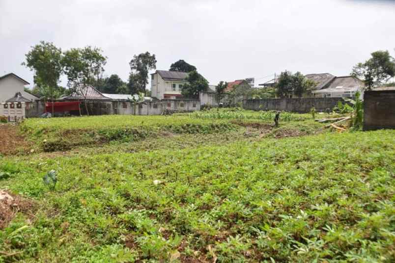 tanah bunian dekat kampus ipb kota bogor