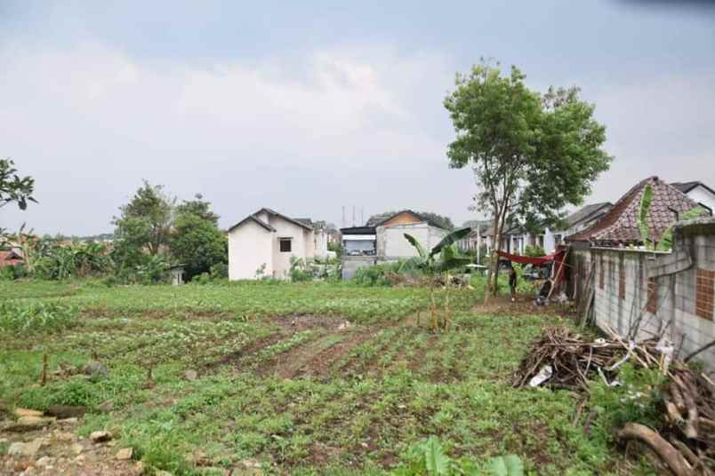 tanah bunian dekat kampus ipb kota bogor