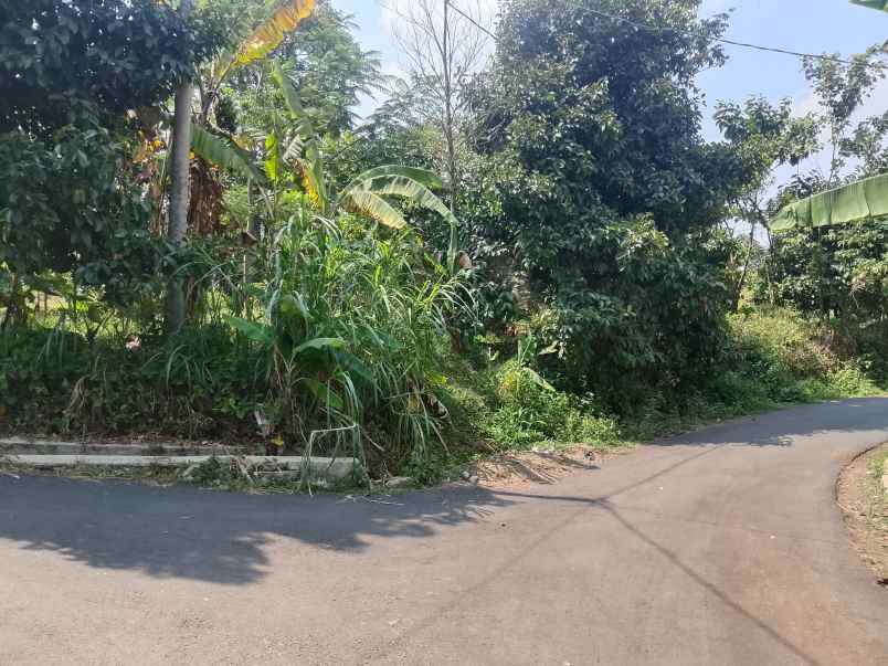 tanah daerah ciater subang jawa barat
