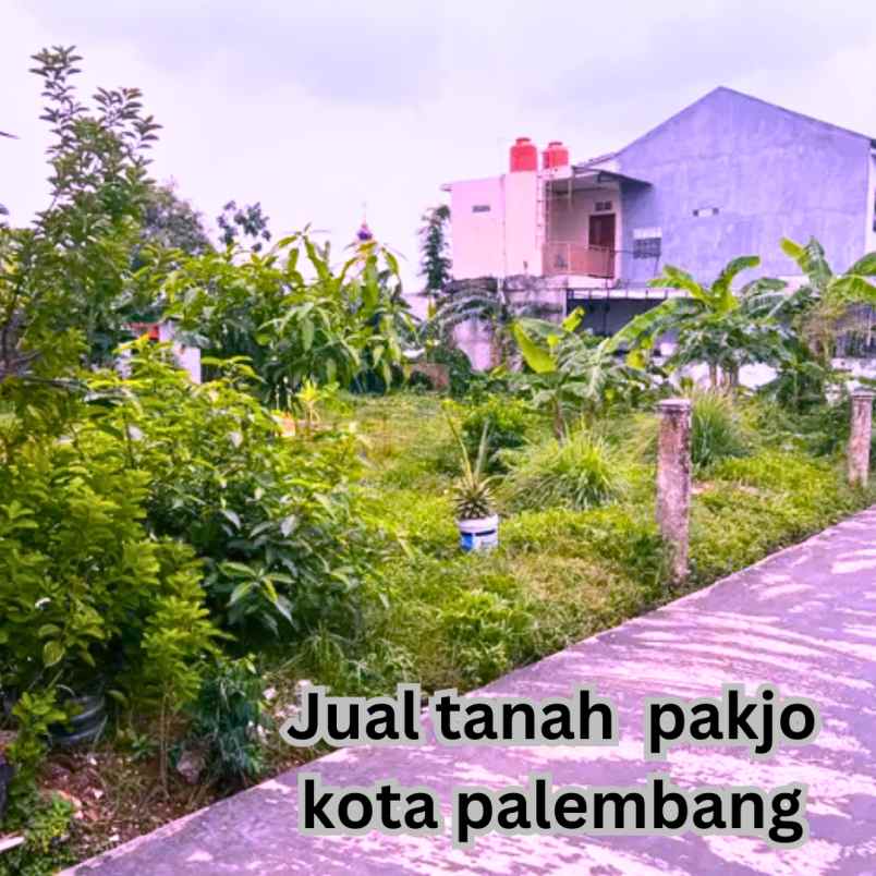 tanah dalam kota area pakjo palembang