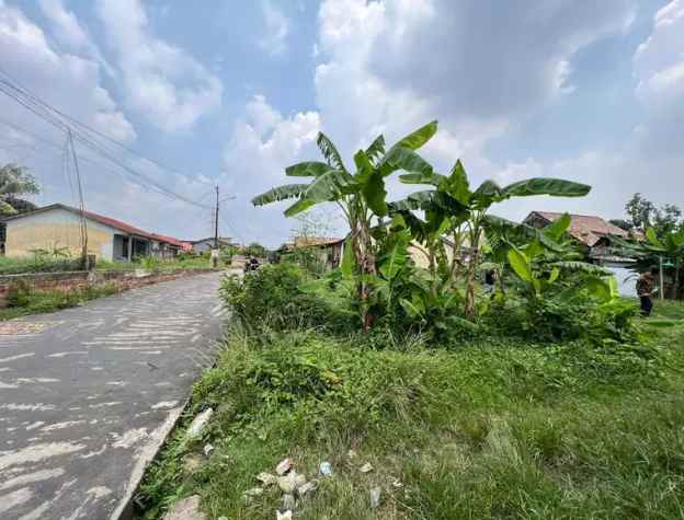 tanah dalam kota area pakjo palembang