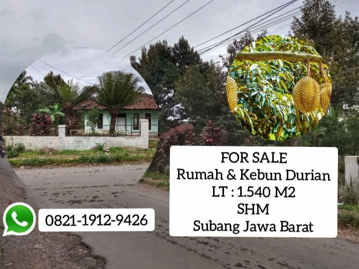 tanah dan bangunan rumah jalan cagak subang