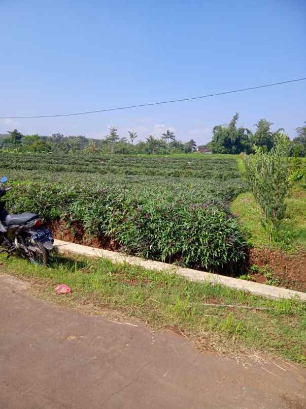 tanah datar 8142m utara kantor kecamatan kerjo