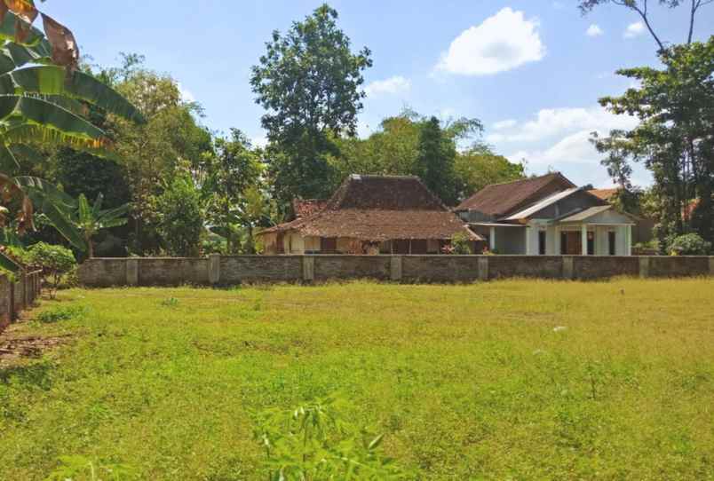 tanah dekat candi prambanan murah 200 juta