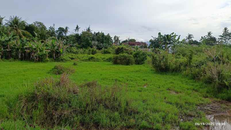 tanah di rajabasa raya luas 4700m shm