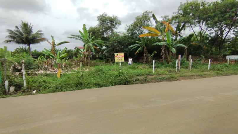 tanah dijual cepat talang jambe nego sampai jadi