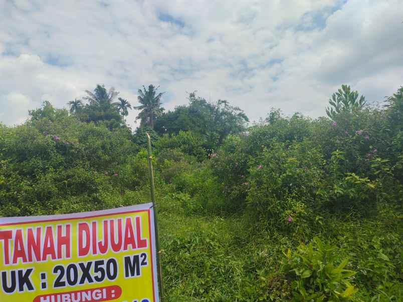 tanah dijual dengan shm 1000 meter