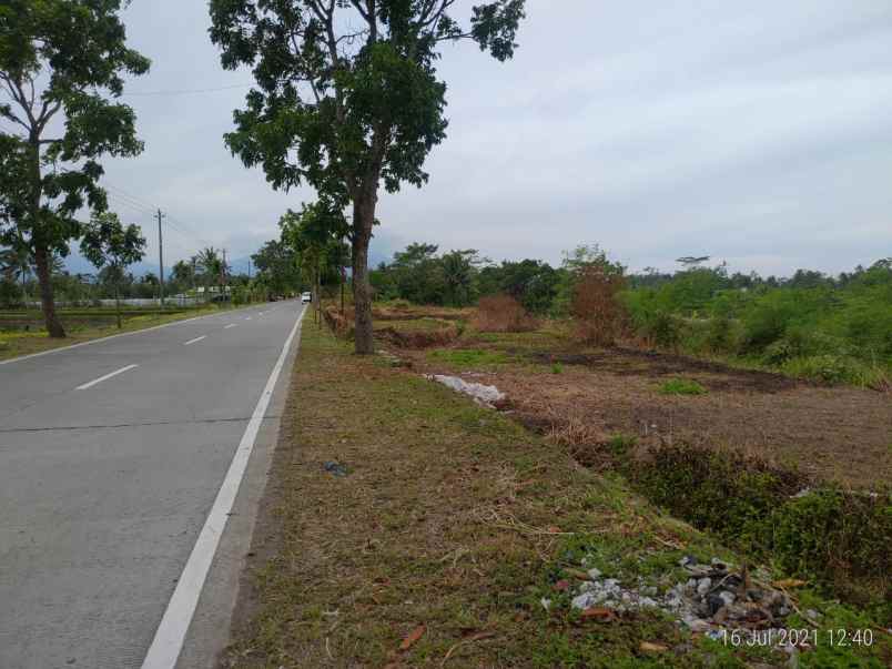 tanah dijual murah magelang 4 menit jl magelang