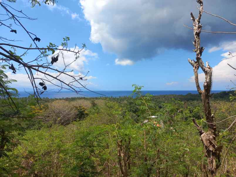 tanah kavling cocok untuk resort di nusa penida bali