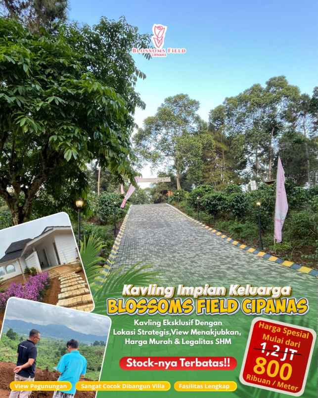 tanah kavling impian di sukaresmi cianjur