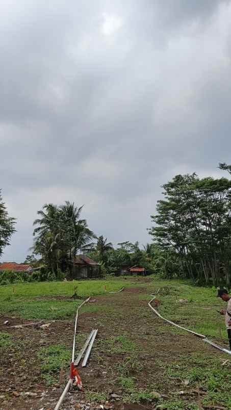 tanah kavling murah siap bangun di ciomas bogor