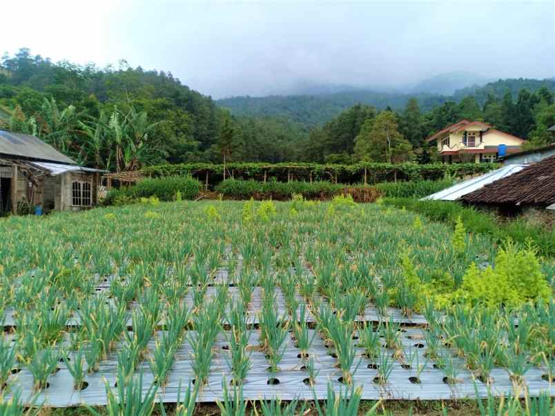 tanah kawasan wisata paralayang kemuning karanganyar