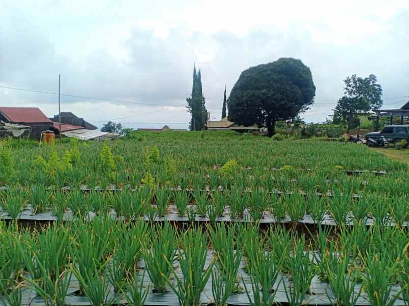 tanah kawasan wisata paralayang kemuning karanganyar