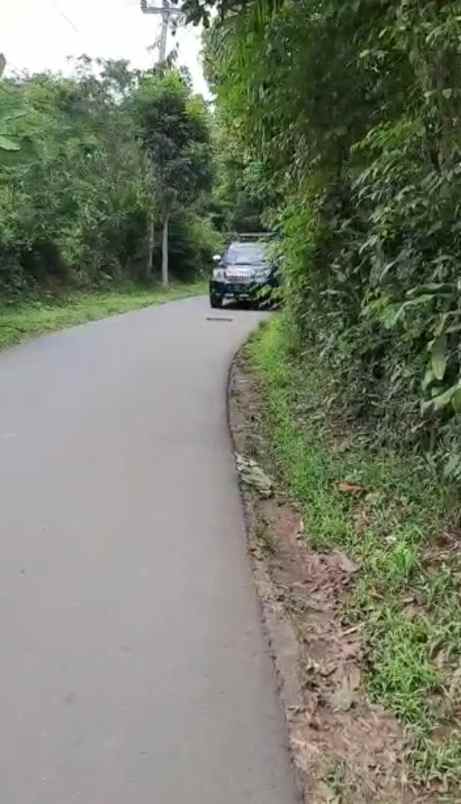 tanah kebun pinggir jalan di cijambe subang