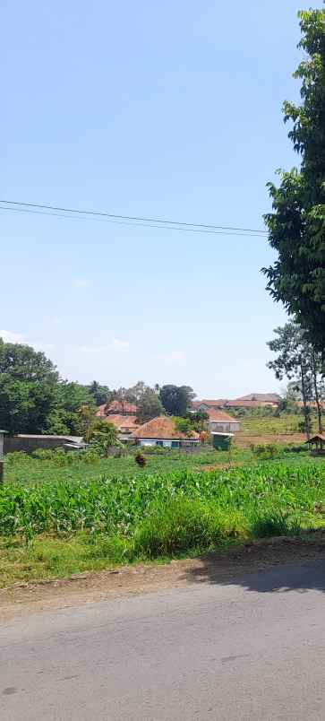 tanah kebun produktiv pinggir jl raya