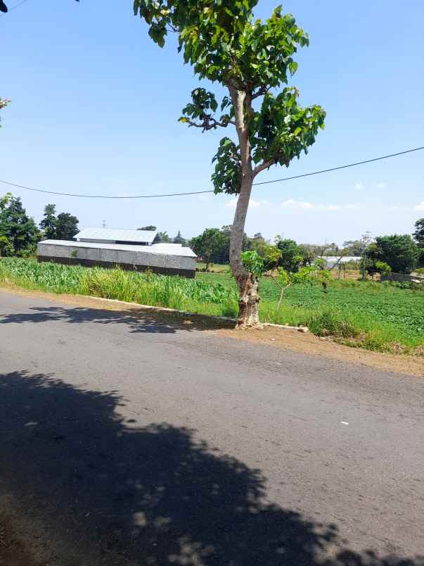 tanah kebun produktiv pinggir jl raya