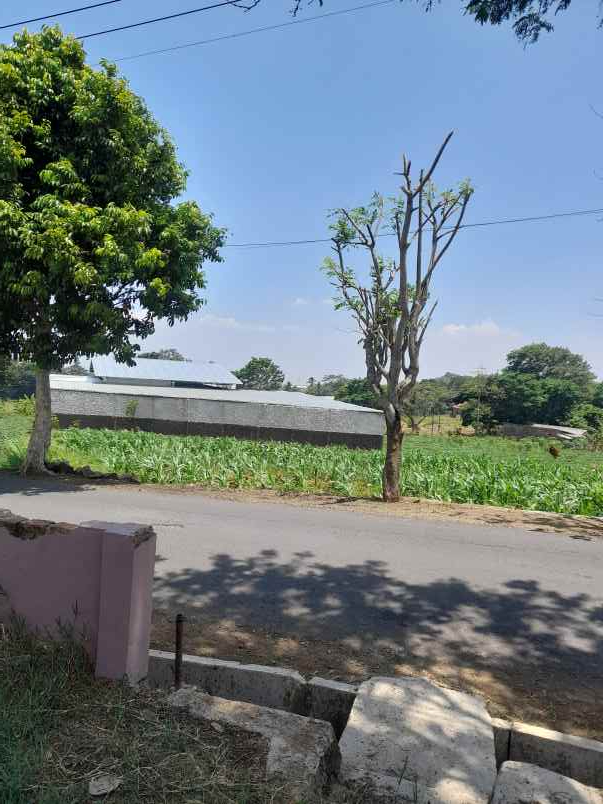 tanah kebun produktiv pinggir jl raya