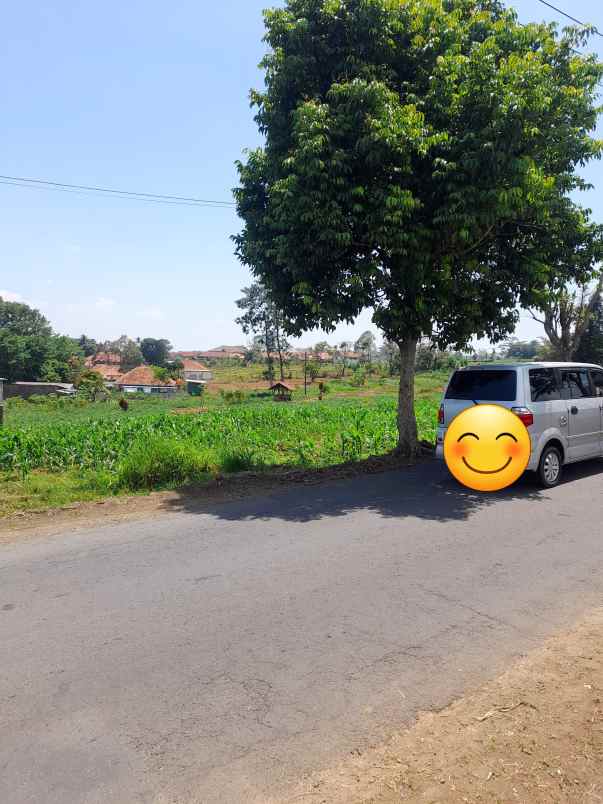 tanah kebun produktiv pinggir jl raya