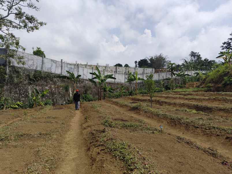 tanah kebun subur harga baik di bumiaji kota batu