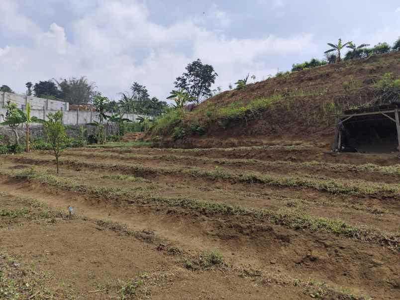 tanah kebun subur harga baik di bumiaji kota batu