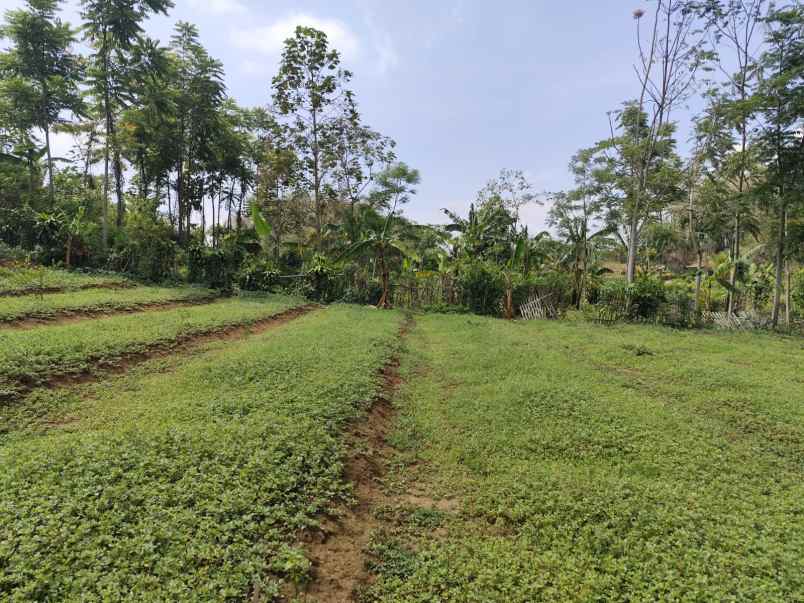 tanah kebun subur harga baik di bumiaji kota batu