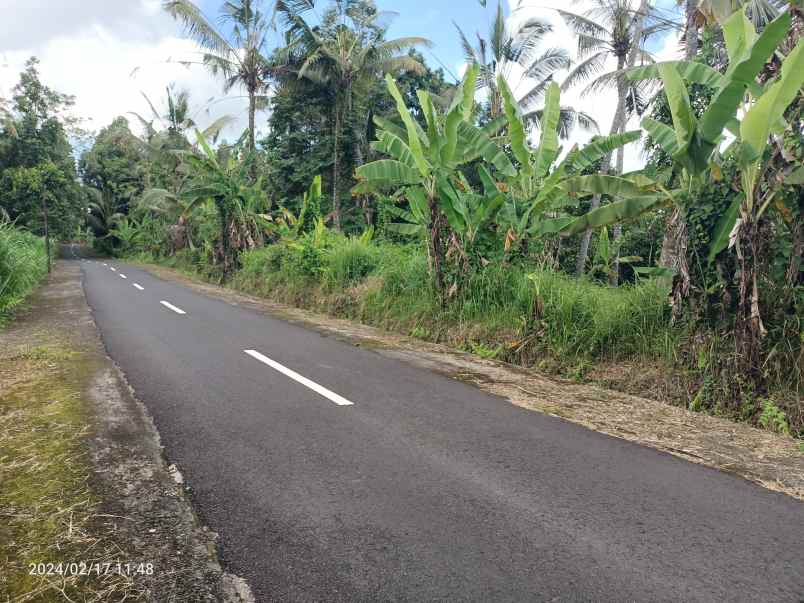 tanah kebun view gunung dan lembah dekat bali eco stay