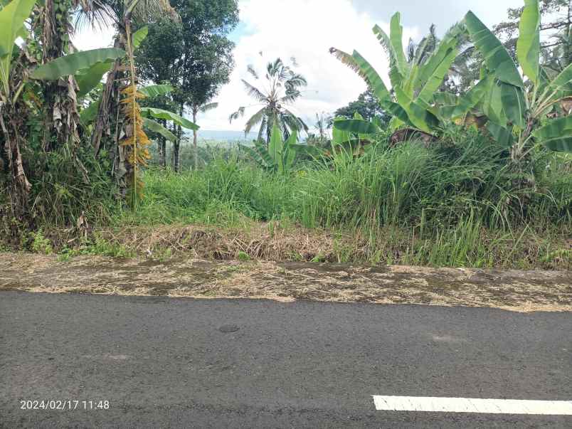 tanah kebun view gunung dan lembah dekat bali eco stay