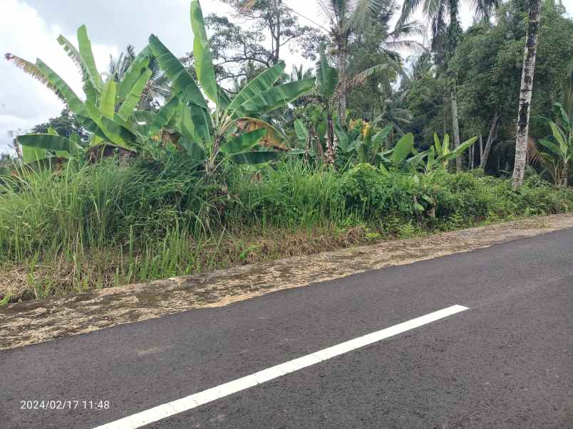 tanah kebun view gunung dan lembah dekat bali eco stay