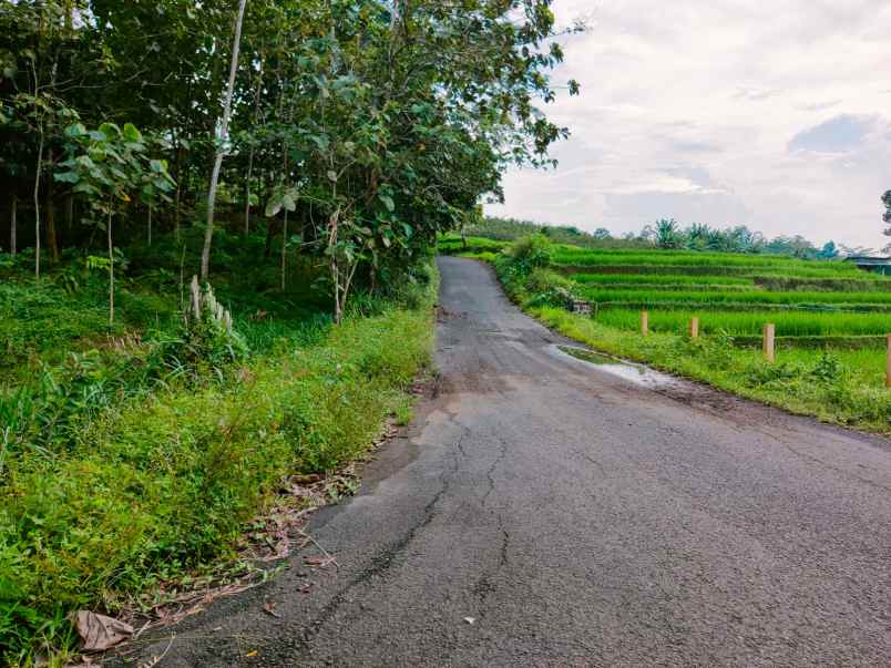 tanah kerjo karanganyar