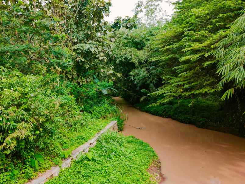 tanah kerjo karanganyar