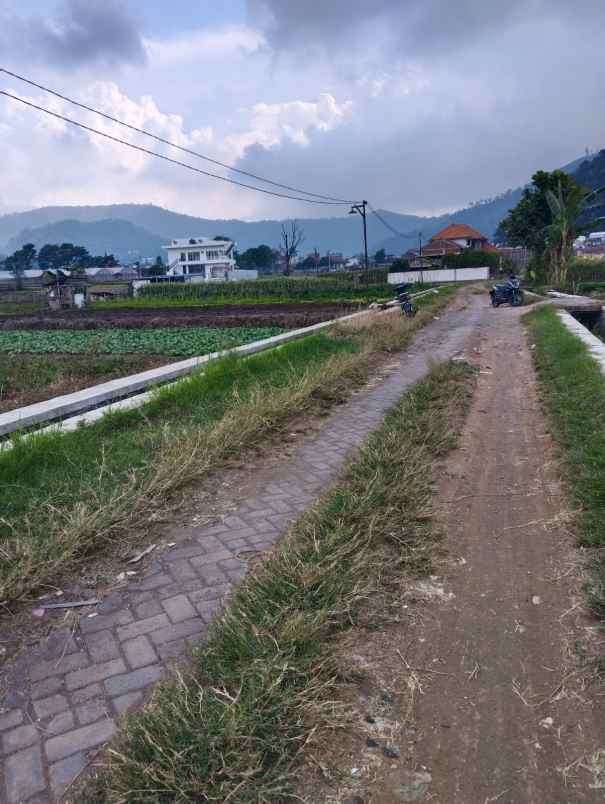 tanah kota wisata batu madewo apples