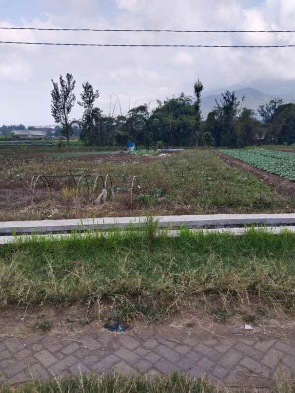 tanah kota wisata batu madewo apples