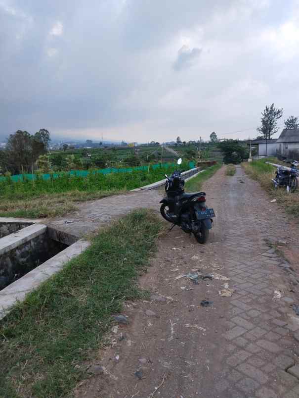 tanah kota wisata batu madewo apples