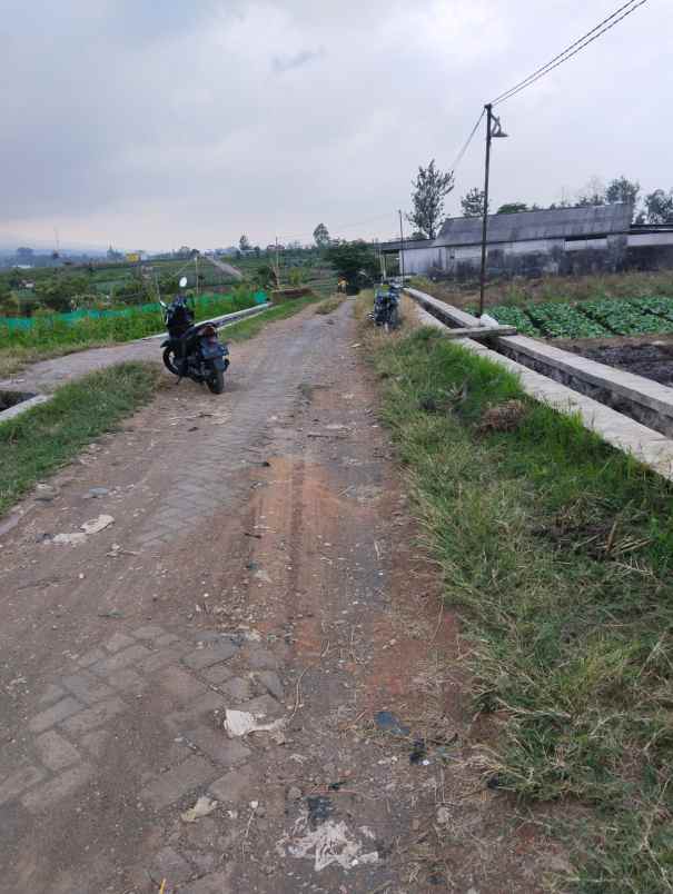 tanah kota wisata batu madewo apples